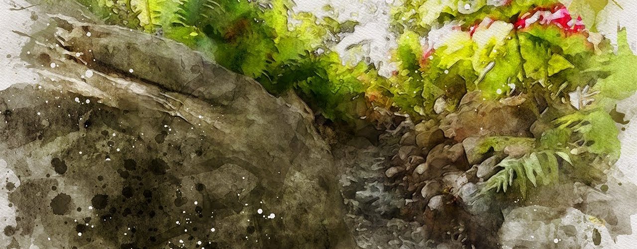 360° Mindfulness meditation in the garden