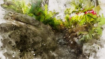 360° Mindfulness meditation in the garden