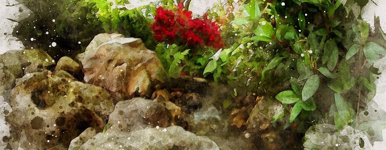Stress release in Japanese garden