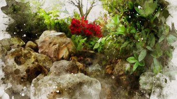 Stress release in Japanese garden