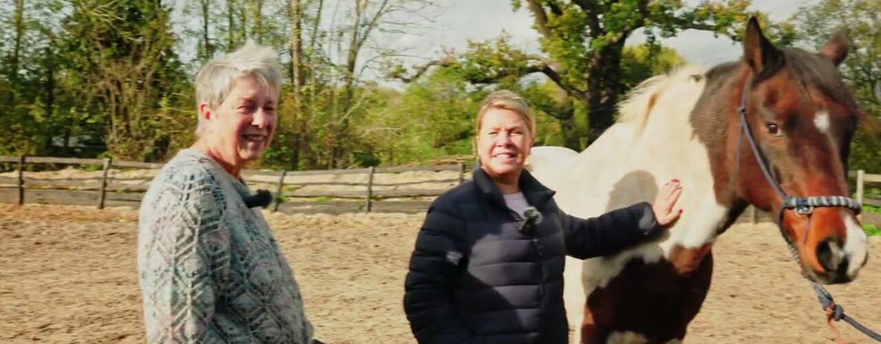 How horses can help to better mental health