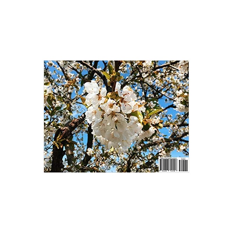 Blooming Summer (Calendar)