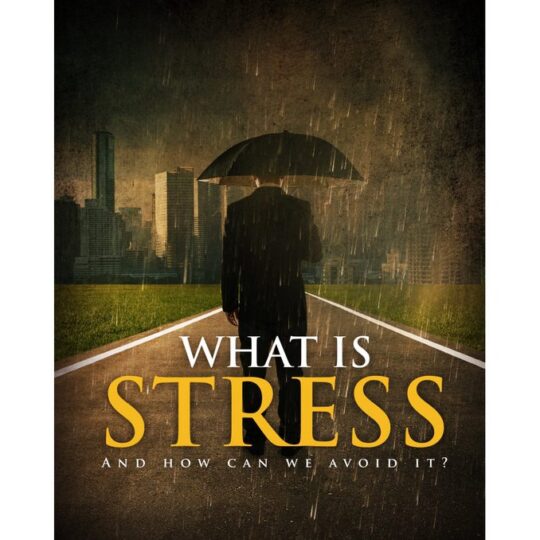 What Is Stress And How We Can Avoid It